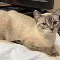 Thumbnail photo of Lora #3