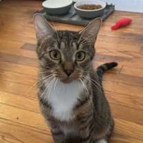 Thumbnail photo of Stella #1