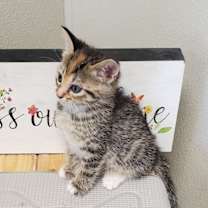 Thumbnail photo of Sydney #1