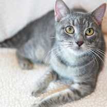 Thumbnail photo of Kiko #2