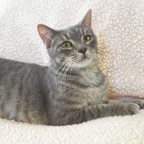 Thumbnail photo of Kiko #3