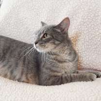 Thumbnail photo of Kiko #4