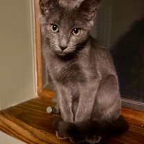 Thumbnail photo of Oscar Wilde #2