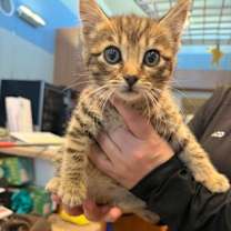 Thumbnail photo of 12/6/25 #2