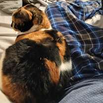 Thumbnail photo of Moltin #2