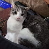 Thumbnail photo of Naomi #2