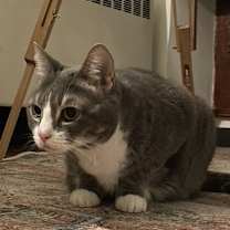 Thumbnail photo of Lucy #2