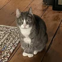 Thumbnail photo of Lucy #1