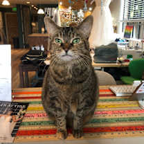 Thumbnail photo of Karen #1