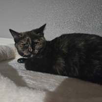 Thumbnail photo of Toscana #1