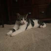 Thumbnail photo of Snookie #4