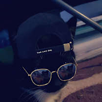 Thumbnail photo of pip #3