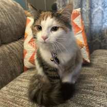 Thumbnail photo of Ember May #1