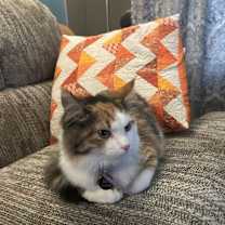 Thumbnail photo of Ember May #3