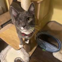 Thumbnail photo of Simon #4