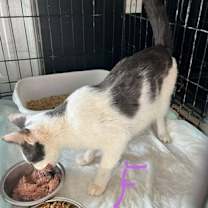 Thumbnail photo of Winnie #2