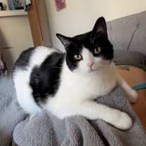 Thumbnail photo of Luna #1