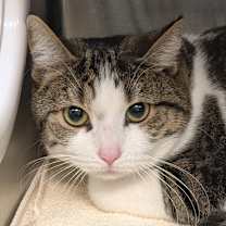 Thumbnail photo of Lulu #2