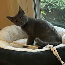 Thumbnail photo of Sheila #2