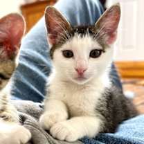 Thumbnail photo of Elsa #2