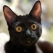 Thumbnail photo of Dani Dennison #2