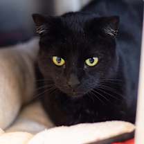 Thumbnail photo of Benny #1