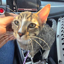 Thumbnail photo of Benji #1