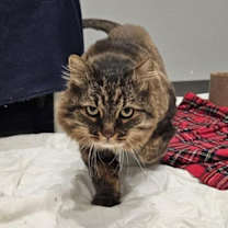 Thumbnail photo of Tony #1