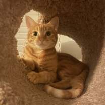 Thumbnail photo of Rainy #3