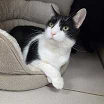 Thumbnail photo of Enrique #1