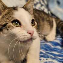 Thumbnail photo of Gabbie #4