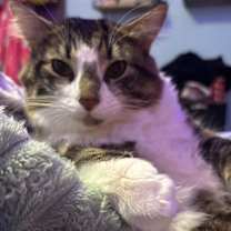 Thumbnail photo of Bruno #3