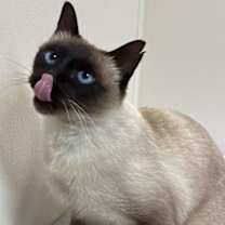 Thumbnail photo of Destiny #2