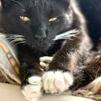 Thumbnail photo of Myspace #1