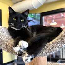 Thumbnail photo of Myspace #2