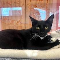 Thumbnail photo of Myspace #3