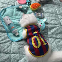 Thumbnail photo of LEO #3