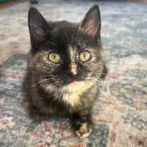 Thumbnail photo of North #3