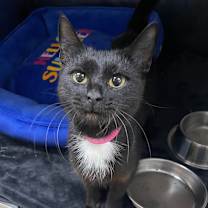 Thumbnail photo of Ravenna #3