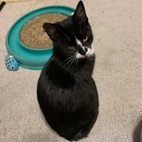 Thumbnail photo of AJ #2