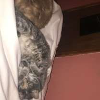 Thumbnail photo of Diablo (Fat Boy) #3