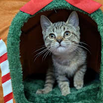 Thumbnail photo of Little #1