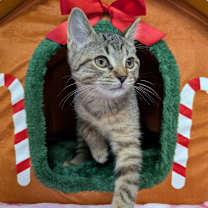 Thumbnail photo of Little #3