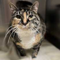 Thumbnail photo of Fruitloop #3