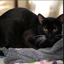 Thumbnail photo of MARS #2