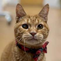 Thumbnail photo of Jack #1