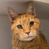 Thumbnail photo of Jack #3