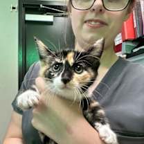 Thumbnail photo of Peanut #2