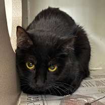 Thumbnail photo of Carly Rae Jepsen #2