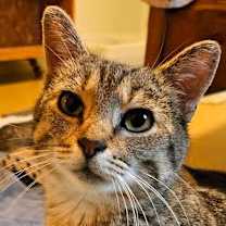 Thumbnail photo of Lia #1